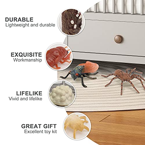 Cabilock 2 conjuntos de estatuetas de insetos, ciclo de vida de aranha e ciclo de crescimento, model