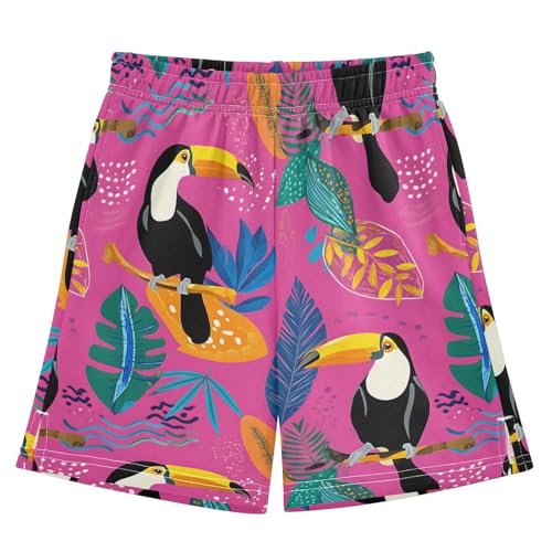Beautiful Toucan Bird Boys Shorts Casual Athletic Short Summer Track Shorts 14-15 Y Multicolor