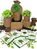 Medicinal Herbs Starter Kit - Non GMO, Heirloom Seeds - Basil, Parsley, Cilantro (Coriander), Oregan