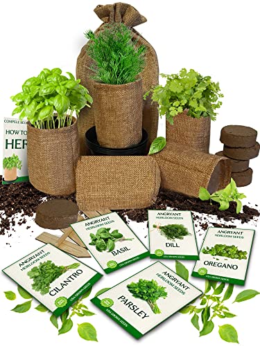 Medicinal Herbs Starter Kit - Non Gmo, Heirloom Seeds - Basil, Parsley, Cilantro (Coriander), Oregano, Dill - Includes Pots, Soil, Bamboo Plant Markers - Gardening Gift #TOP4