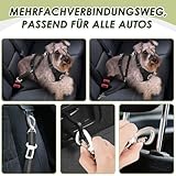 Eyein 2 Stück Hundegurt fürs Auto, Hunde Sicherheitsgurt mit Elastischer Ruckdämpfung, Verstellbarer Hund Anschnallgurt mit Universalstecker & Befestigung für Reisen Reiten im Fahrzeug, Schwarz