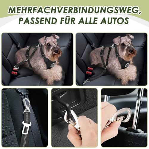 Eyein 2 Stück Hundegurt fürs Auto, Hunde Sicherheitsgurt mit Elastischer Ruckdämpfung, Verstellbarer Hund Anschnallgurt mit Universalstecker & Befestigung für Reisen Reiten im Fahrzeug, Schwarz