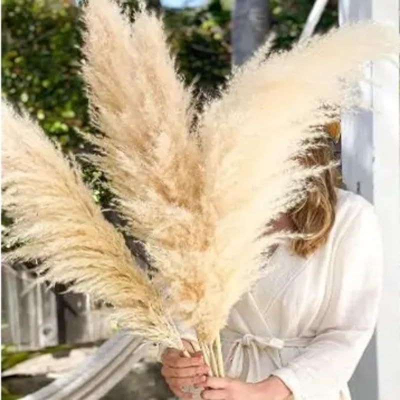 Pampas Grass Boho Decor, Pack de 10 Pampas Secas 120cm miniatura 6