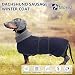 MOREZI Winterhundejacke mit wattiertem Flusenfutter, verstellbarem Klettknopf und hochklappbarem Stehkragen. Sehr gut geeignet für Dackel und kleine und mittelgroße Jagdhunde-Navy-M