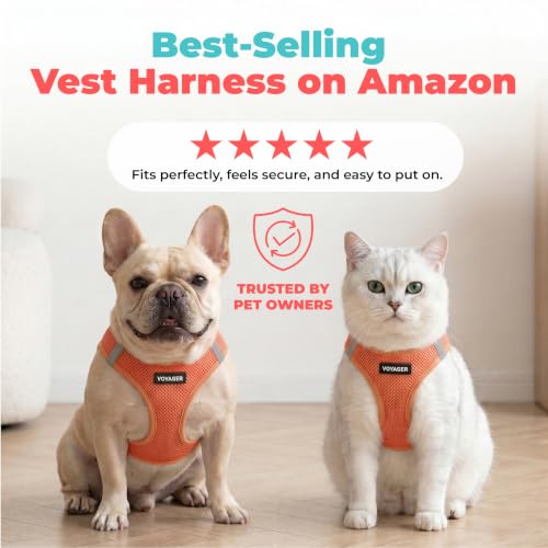 Image of Voyager Step-in Air Dog Vest Harness - Orange, X-Small | 13 - 14.5 inch in Chest, Reflective Bands, All Weather Breathable Air Mesh, Cats Compatible, Lightweight, Fast Drying