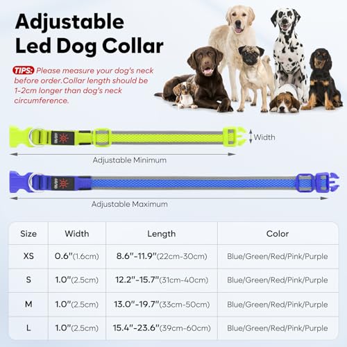 LED Leuchthalsband Hund USB Aufladbar, Wasserdichtes Verstellbares Leuchtendes Hundehalsband mit 3 Lichtmodi, Leuchtende Hundehalsbänder für Kleine Mittlere Große Hunde, Welpen-6