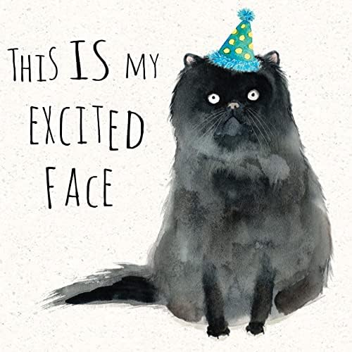 Twizler Funny Birthday Card Cat  Funny Birthday Card Women  Funny Birthday Card Men  Funny Birthday Card For Her  Funny Birthday Card For Him - Funny Card Birthday  Happy Birthday Card  Cat Card
