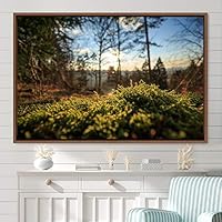 Framed Canvas Wall Art Greenlands Aerial Dark Farmhouse/Country Green Nature Photography Realism Relax/Calm - 16x24 inches