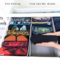 SIMPLE JOY® PAX100 FileFolding Box passgenau Premium PAX Organizer, 4Fach – Ansicht 4