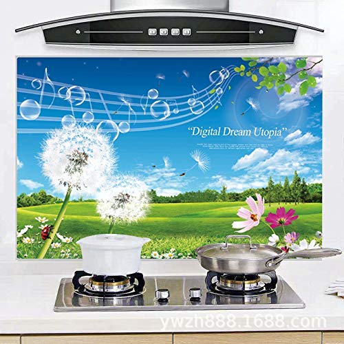 HS-STORE's Waterproof and Oil-Proof Temperature Resistant Self Adhesive Peel Off Wall Stickers for Home and Kitchen