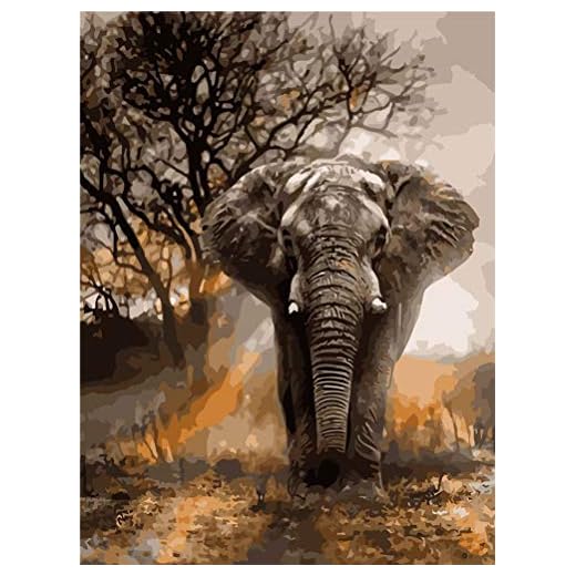 Amiiba Malen nach Zahlen-Kits, Elefant, 40,6 x 50,8 cm, Acryl, Malen nach Zahlen, Wandkunst zum Basteln (Tier, mit Rahmen)
