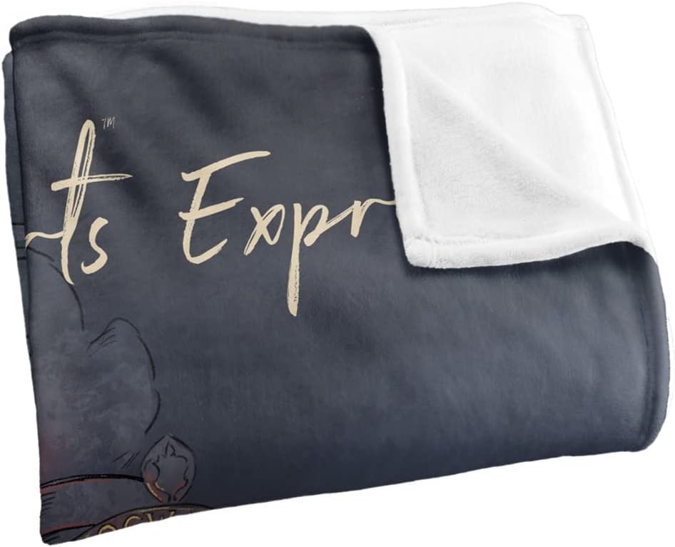 Harry Potter Blanket, 50"x60" Harry Potter Hogwarts Express Silky Touch Super Soft Throw Blanket