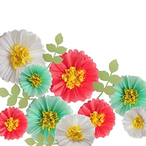 Fonder Mols Coral and Mint Tissue Paper Flowers Wall Decorations for Watermelon Inspired Party & Events, Photo Booth Props, Backdrop Decor (Set of 13)