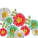 Fonder Mols Coral and Mint Tissue Paper Flowers Wall Decorations for Watermelon Inspired Party & Events, Photo Booth Props, Backdrop Decor (Set of 13)