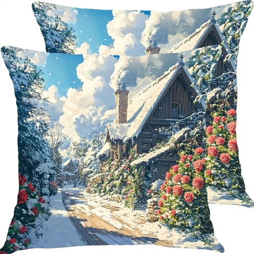 �N�b�V�����J�o�[ 55x55cm �h���N�b�V�����J�o�[ �A�E�g�h�A�\�t�@�[�N�b�V���� 2�_�Z�b�g �K�[�f���V�[�g�������J�o�[ ���l������ �����s���[�J�o�[, �l�G�ʗp �щB���t�@�X�i�[�� ���ʃp�^�[���N�b�V���� �K���� ���蕨�ɂ��� �K�[�f�����[�Y X8J