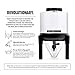 BrewDemon Premium Beer Making Kit w/Bottles – NO AIRLOCK OR SIPHON REQUIRED – Conical Fermenter Eliminates Sediment and Makes Great Tasting Beer at Home - Includes our 2 Gal. American Ale Recipe