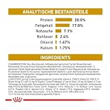 Royal Canin Veterinary Urinary S/O Ageing 7+ | 3,5 kg | Diät-Alleinfuttermittel für Hunde | Ab dem 7. Lebensjahr | Harnuntersättigende und metastabilisierende Eigenschaften