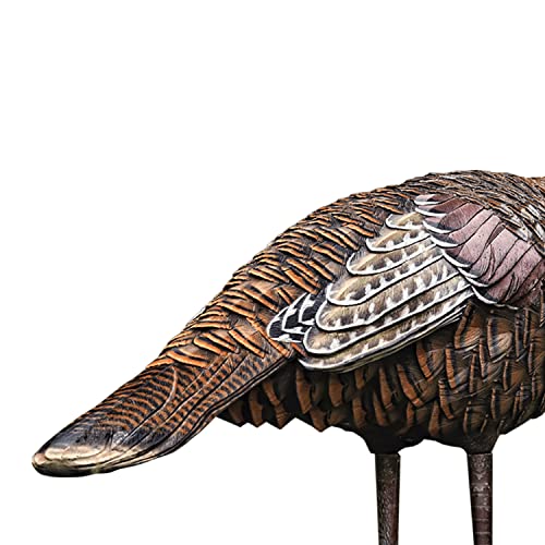 Avian X LCD Lookout Hen Chamariz de caça dobrável realista com estaca de carbono, bolsa de transport