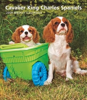 Calendar Cavalier King Charles Spaniels 2009 Hardcover Weekly Engagement Calendar Book