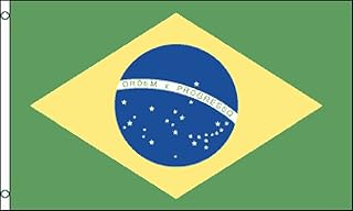Brazil Flag 2x3ft Poly