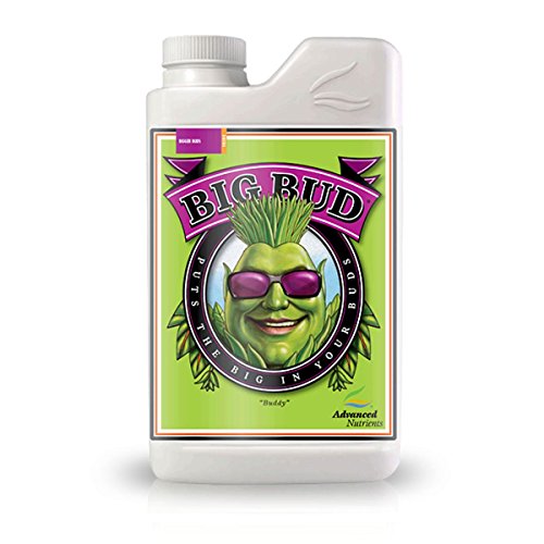 Big Bud – Advanced nutrients-1000 ml