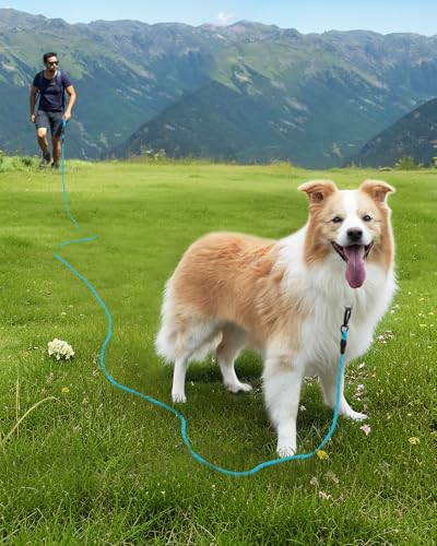 Joytale Schleppleine 5m-20m für Hunde, Reflektierend, Gepolsterter Griff, Abschließbarer Karabiner (Blau, 5m)
