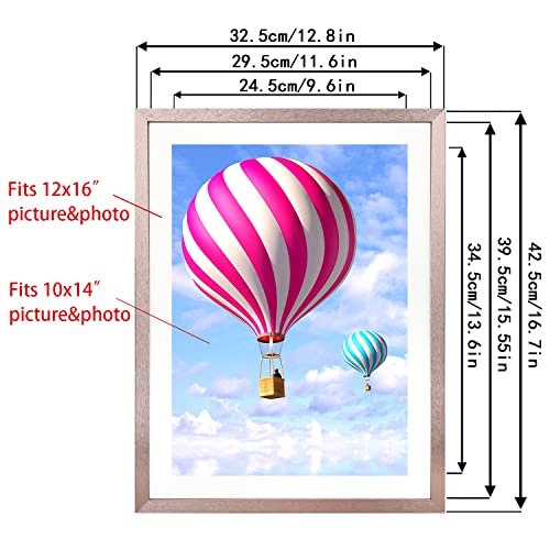 Mxtallup 12X16 Diamond Painting Frames 30X40Cm Diamond Painting Picture Frames Wood ,Display Pictures 10X14 Inch/25X35 Cm With Mat Or 12X16 Inch /30X40 Cm Without Mat, Diamond Art Frames Rose Gold Color (Tyk0023) #TOP1