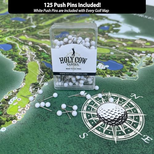 HolyCowCanvas Top 250 Golf Courses in the USA Push Pin Travel Map on Canvas, 150 Private/100 Public Courses, 5 Sizes, United States Map with Push Pins (24\"x20\", Rolled, Golden Sands)
