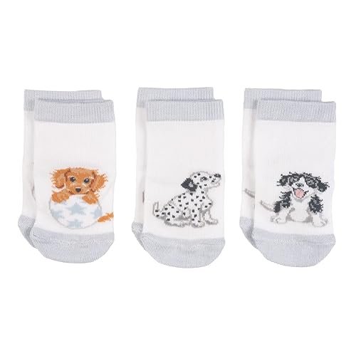 Wrendale Designs Little Paws Baby Socks Set - 0-6 Months