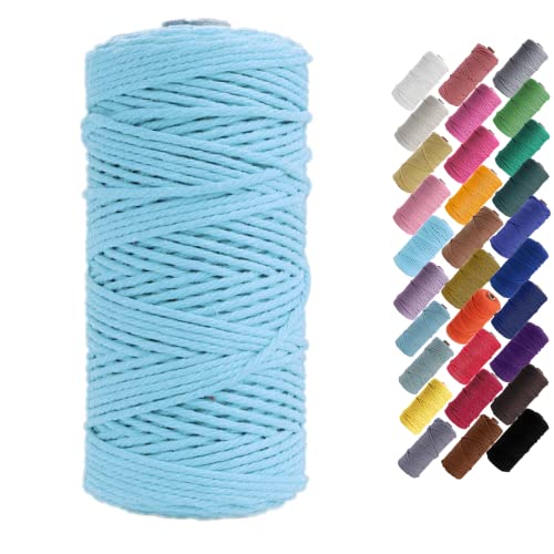 Binwat - Hilo de algodón natural para macramé. Para hacer manualidades, colgar cosas en la pared, colgar plantas, tejer, proyectos decorativos, etc. (3 mm, 100 m), Azul Lago, 3mm x100m