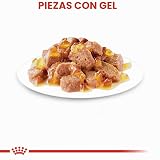 Ver la foto 4