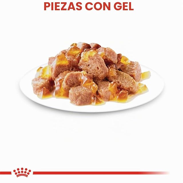 Foto 4 de 6 de Royal Canin Feline Sterilised en Gelatina