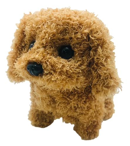 TKSK トコトコわんちゃん トイプー