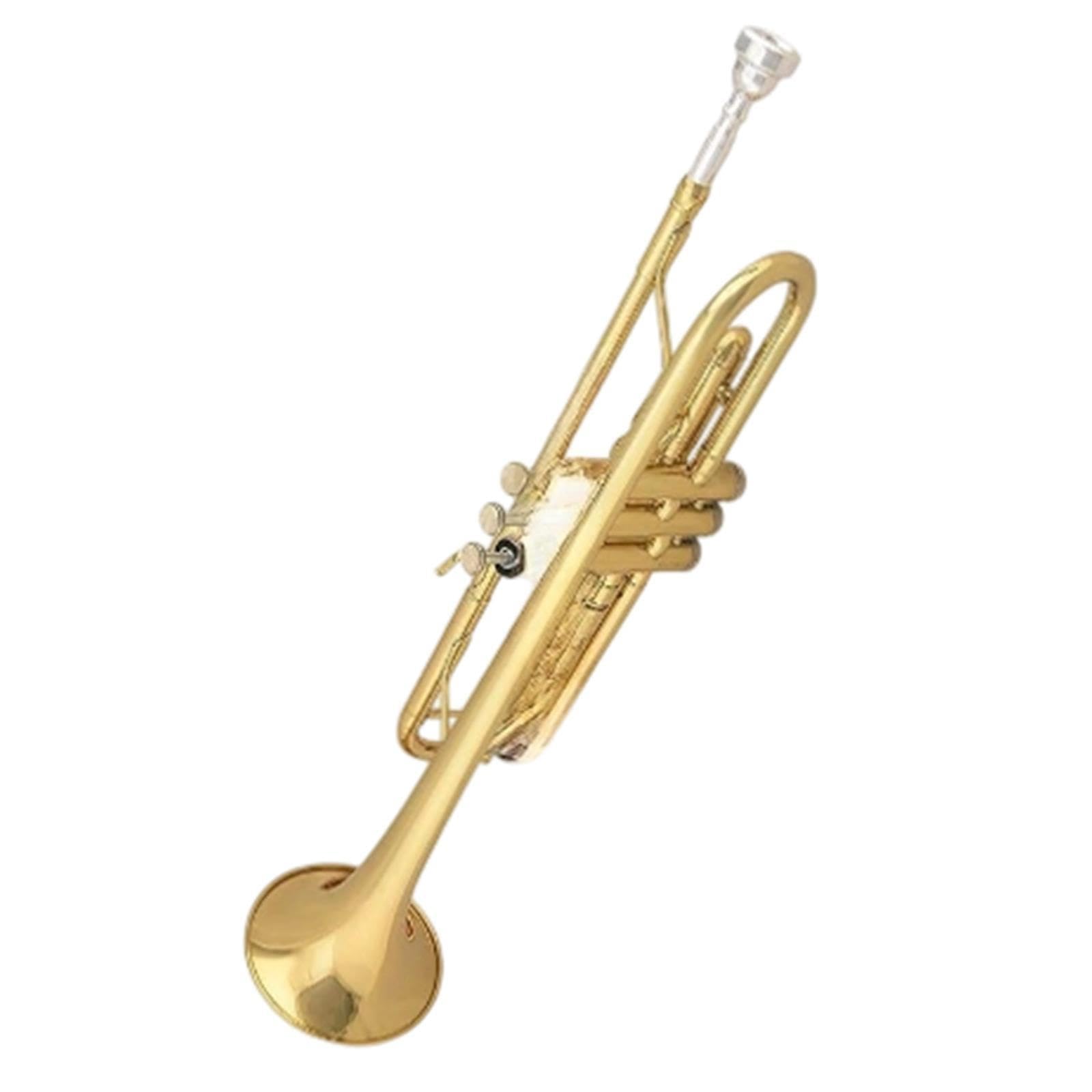 Professional Trumpet Trompeta en si bemol para principiantes