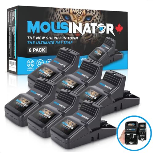 MOUSINATOR Rat Trap | 6-Pack | Large Rat Snap Traps for Indoor and Outdoor Use | Easy to Set | Safe and Reusable Design | Easy to Clean | Effective Powerful Large Mouse Trap that Works Instantly by MOUSINATOR - Image 9
