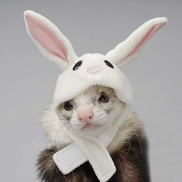 Pet Hat, Bunny, Adjustable Polyester Hat for Ferret, Hamster, Rabbit, Cat, Guineapig, Small Animals, Cartoon Animal Theme