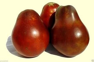 Japanese Black Trifele/truffle Tomato-HEIRLOOM SEEDS- Chocolaty, Smoky and Rich!(50 Seeds)