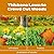 Scotts Turf Builder WinterGuard Fall Weed & Feed3, Weed Killer Plus Fall Fertilizer, 12,000 sq. ft, 34.3 lbs.