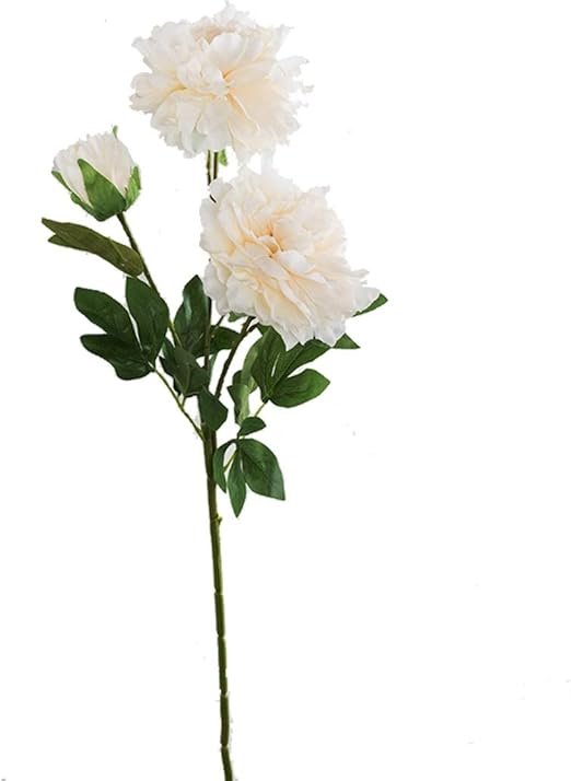 Amazon 造花 大きな牡丹シミュレーションフラワー 偽の花の装飾品 リビングルームのシルクの床の装飾 ドライフラワーとテーブルブーケ Color 白 Size 6branches 造花 オンライン通販 Amazon 造花 大きな牡丹シミュレーションフラワー 偽の花の装飾品 リビングルームのシルクの床の装飾 ドライフラワーとテーブルブーケ Color 白 Size 6branches 造花 オンライン通販
