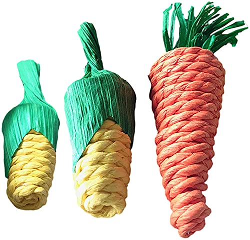 Phantasmia ETMpނ VRfޖF ? ̎ƏT|[g for nX^[ AbNXʂ̂C^NeBuߋ