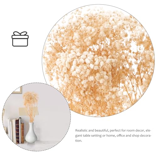 Ramo de flores secas Beaupretty Gypsophila beige 120g miniatura 3