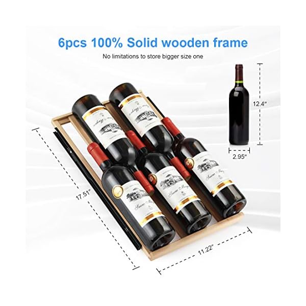 Colzer Classic 15 Inch Wine Cooler Refrigerators, 30 Bottle Fast Cooling Low Noise and No Fog