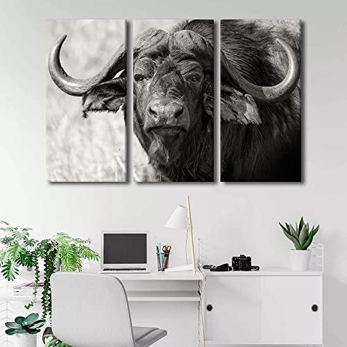 Toile murale buffle d'eau 152x101 cm tableau noir et blanc encadré