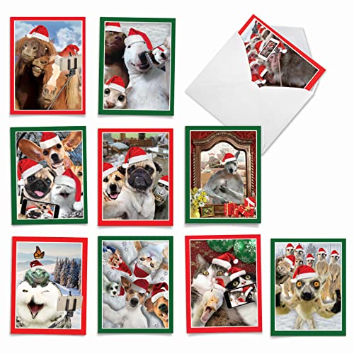 Image of The Best Card Company - 10 Blank Animal Christmas Note Cards - Assorted Bulk Holiday Cards for Men and Women, Fun Wildlife (4 x 5.12 Inch) - Holiday Animal Selfie M2373XSB
