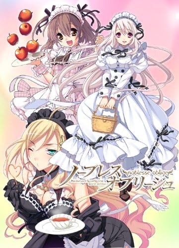 Amazon ノーブレスオブリージュ アダルトpcゲーム Pcソフト