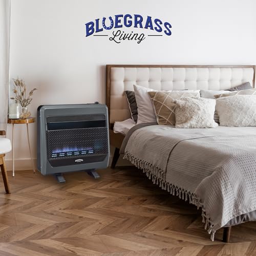 Bluegrass Living B30TNB-BB Ventless Natural Gas Blue Flame Space Heater with Thermostat Control, 30000 BTU, Heats Up to 1400 Sq. Ft., Includes Wall Mount, Base Feet, and Blower, Black