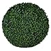 Boxwood Topiary Ball - 15