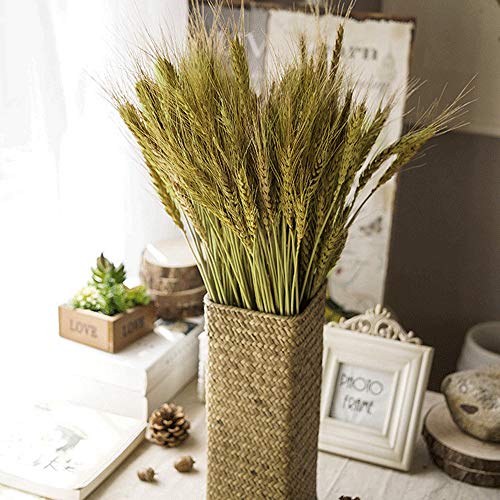 XHXSTORE 100pcs Trockenblumen Weizen Getrocknete Blumen Deko Pampasgras Klein Trockenblumenstrauß Deko Blumen Weizenähren 50cm für Hochzeit Vase Zimmer Büro Balkon Party Tisch Deko Cover