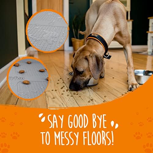 When Should I Stop Feeding My Dog Lunch at Robert blog