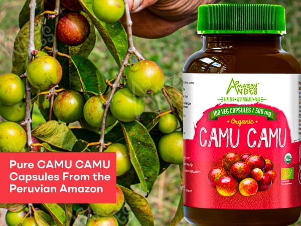 Amazon Andes Camu Camu Capsules 500mg - Pure Vitamin C Origin from Peru - Myrciaria Dubia Berry - 100 Vegetarian Caps - Wild Harvested Amazon Rainforest Superfruit Non-GMO Vegan - Image 6